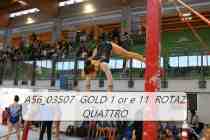 A56_03507-GOLD-1-or-e-11-ROTAZ-QUATTRO