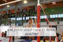 A56_03510-GOLD-1-or-e-11-ROTAZ-QUATTRO