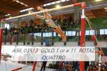 A56_03513-GOLD-1-or-e-11-ROTAZ-QUATTRO