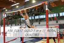 A56_03517-GOLD-1-or-e-11-ROTAZ-QUATTRO