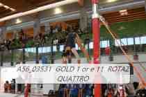 A56_03531-GOLD-1-or-e-11-ROTAZ-QUATTRO