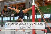 A56_03542-GOLD-1-or-e-11-ROTAZ-QUATTRO