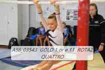 A56_03543-GOLD-1-or-e-11-ROTAZ-QUATTRO