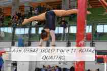 A56_03547-GOLD-1-or-e-11-ROTAZ-QUATTRO