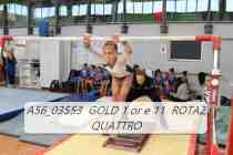 A56_03553-GOLD-1-or-e-11-ROTAZ-QUATTRO