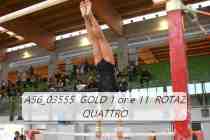 A56_03555-GOLD-1-or-e-11-ROTAZ-QUATTRO