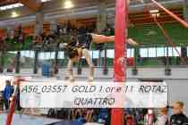 A56_03557-GOLD-1-or-e-11-ROTAZ-QUATTRO