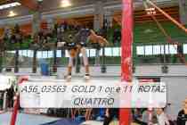 A56_03563-GOLD-1-or-e-11-ROTAZ-QUATTRO