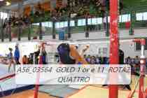 A56_03564-GOLD-1-or-e-11-ROTAZ-QUATTRO