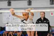 A56_03572-GOLD-1-or-e-11-ROTAZ-QUATTRO