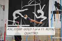 A56_03580-GOLD-1-or-e-11-ROTAZ-QUATTRO