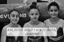 A56_03703-GOLD-1-or-e-11-ROTAZ-QUATTRO