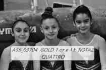 A56_03704-GOLD-1-or-e-11-ROTAZ-QUATTRO