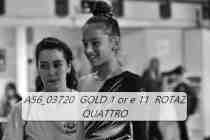 A56_03720-GOLD-1-or-e-11-ROTAZ-QUATTRO