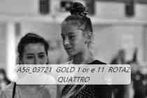 A56_03721-GOLD-1-or-e-11-ROTAZ-QUATTRO