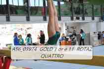 A56_03974-GOLD-1-or-e-11-ROTAZ-QUATTRO