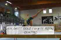 A56_04077-GOLD-1-or-e-11-ROTAZ-QUATTRO