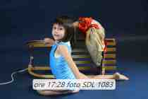 SDL-1083