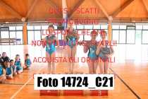 14724_C21