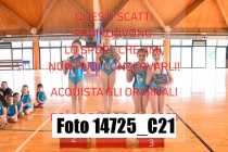 14725_C21
