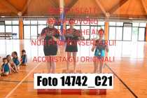 14742_C21