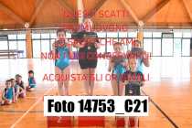 14753_C21