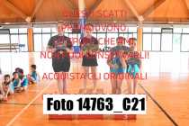 14763_C21