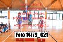 14779_C21
