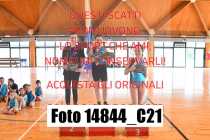 14844_C21