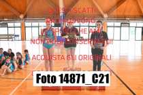 14871_C21