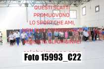 15993_C22