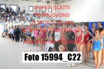 15994_C22