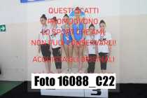 16088_C22