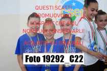 19292_C22