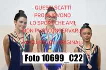 10699_C22