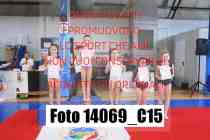 14069_C15
