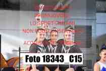 18343_C15