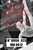 10058_C23