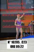 10205_C23