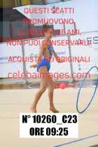 10260_C23