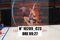 10289_C23