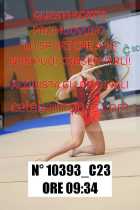 10393_C23