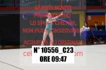 10556_C23