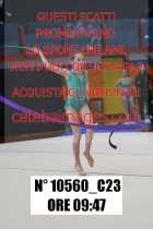 10560_C23