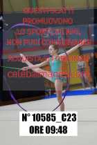 10585_C23