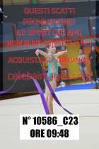 10586_C23