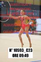 10593_C23