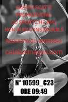 10599_C23