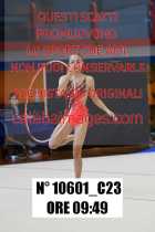 10601_C23