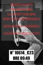 10614_C23